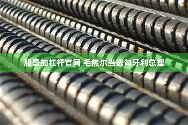 股票加杠杆官网 毛焦尔当选匈牙利总理